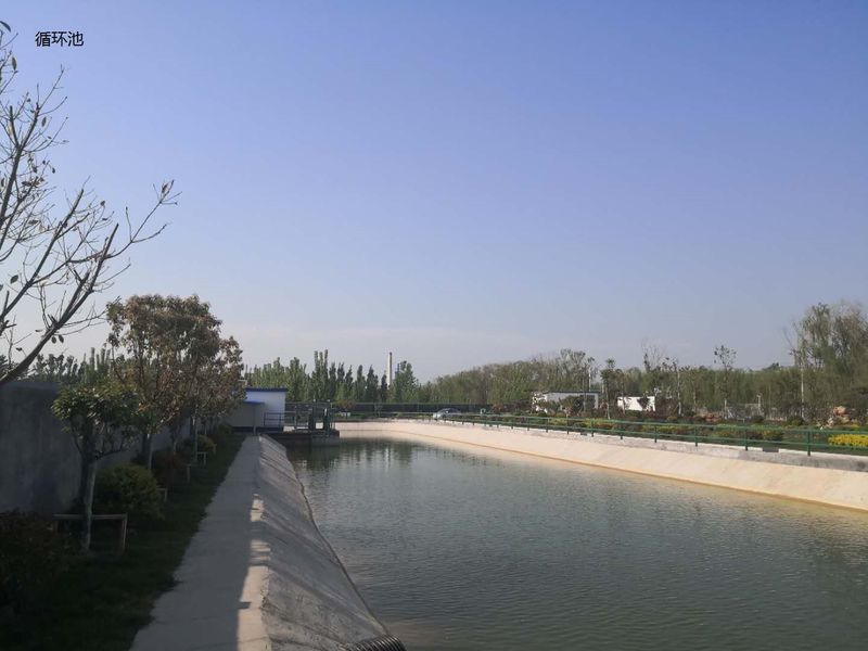 Κίνα Shandong Xingshun New Material Co., Ltd. Προφίλ εταιρείας 